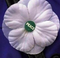 The white poppy